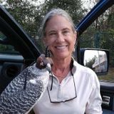 Trustworthy, professional park ranger, to care for your St. Pete home.