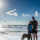 Hot Springs Village, Petsitter and walking