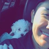 Disciplined Pet Sitter for Hire