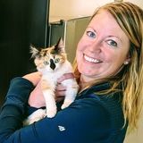 House & Animal Care (expierence with horses, goats, cows, pigs, dogs & cats)
Buena Vista, Salida, Leadville.