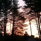 Surrounding towns in Knox county Maine. Washington, Union, Hope, Warren, Rockport, Camden, Rockland, Thomaston etc