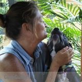 Pet Sitting IN YOUR HOME Loving Care When You Can't Be There