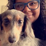 Available: Knowledgeable Dog Walker in Lake Wales