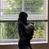 For Hire: Careful Pet Sitter in Davie, Florida