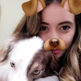 Excellent dog keeper is available now do not miss the opportunity.