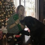 Well Trained Animal Caregiver for Your Home