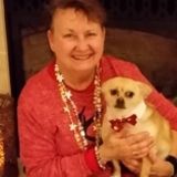 Pet Sitting/Dog Walking
