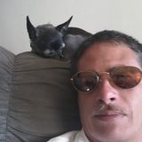 Cheyenne House and Pet Sitter Looking For Work