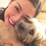 Looking For Pearland Dog Sitter, Texas Jobs