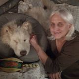Passion For Any And All Animals!