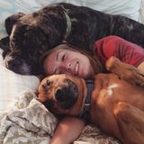 Brevard Pet Carer Seeking Job Opportunities in North Carolina
