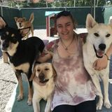 Experienced Pet Sitter!