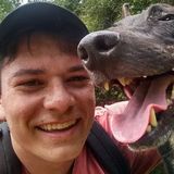 San Clemente, Califrnia Cat /Dog sitting and walking services .