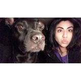 Simi Vallian Animal Sitter. From hamsters to dogs (: