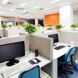 De La Paz Cleaning Services