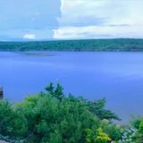 Bedford House and Plant Sitter Interviewing For Job Opportunities in Nova Scotia