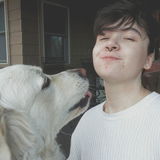Animal Lover Looking For Jobs in the Gilbert Area! Pet Sitter, Dog Walker, Etc! - Available Immediately!
