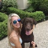 Qualified Pet Sitter in The Woodlands- cats and dogs