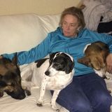 Pet sitter house sitter
