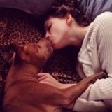 Most Loving Pet Care Provider in Stamford
