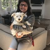 Unconditional Pet Care