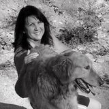 Talented House Sitter in Fruit Heights, Utah
