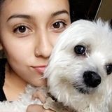 Animal Loving and Experienced Cat and Dog Caretaker Available!