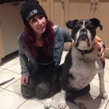 Available: Consistent Dog Sitting Professional in Stayner