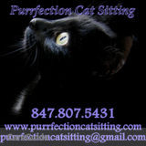 Purrfection Cat Sitting