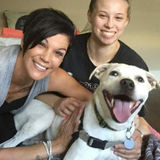 Available: Knowledgeable Pet Care Provider in Schiller Park, Illinois