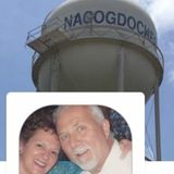 Reliable & Kind person to stay w/our 2 dogs in our home.