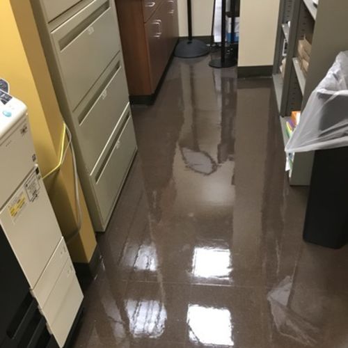 Housekeeper Provider Terry C's Profile Picture