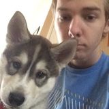 San Jacinto Dog Sitter Searching for Job Opportunities in California
