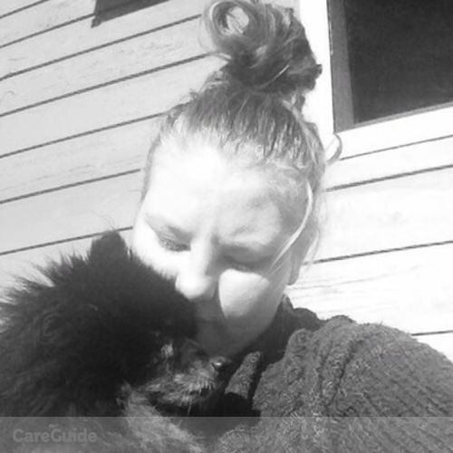 Pet Care Provider Kristin B's Profile Picture