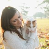 Pet Care Provider