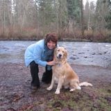 Qualified Pet Care Provider in Markham
