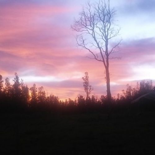 House Sitter Job Kerith Edwards's Profile Picture