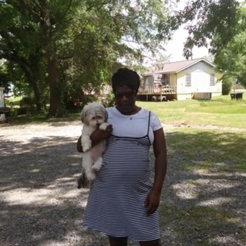 Housekeeper Provider Lula Watkins's Profile Picture
