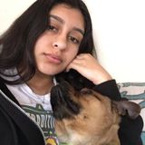 I am a Certified Nurse Assistant but Im willing to work with pets