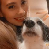 Elgin Dog Sitter Seeking Work