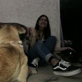 Pet Sitting Offered in Yuba City, if youre in need of a pet sitter just contact me
