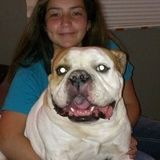 Lauralee Valladares, Dedicated Pet Sitter for Your Home. I currently have a free schedule.
