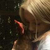 Loving Petsitter in White Rock, British Columbia
