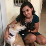 Future Vet Student Looking for a Pet to Care For in the Miami Area!