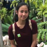 Garden Grove Animal Lover Available For Being Hired