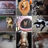 dr karen's critter care
