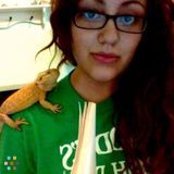 Exotic/ Non-Traditional Pet Sitter