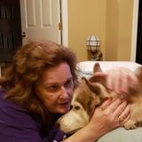 I'm a responsible, conscientious,caring Pet Sitter who will lovingly treat your pet with the attention & care that you give