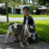 Dependable DeLand Walker and Sitter