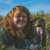 Interested In a Pet Sitter Opportunity in Livonia